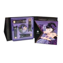 Набор Shunga Geisha's Secret